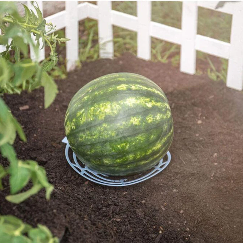 12pcs Melon Squash Cradle Watermelon Cradle Plant Support Garden Support Protector For Watermelon Melon Support Base Tray
12pcs Melon Squash Cradle Watermelon Cradle Plant Support Garden Support Protector For Watermelon Melon Support Base Tray