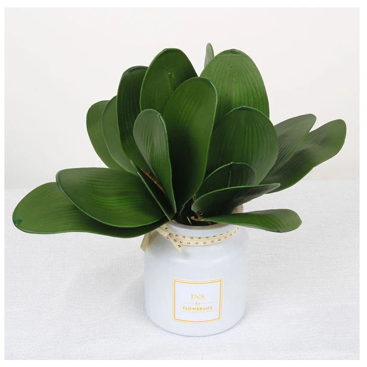 Artificial Phalaenopsis Real Touch Butterfly with Stem Greenery Fake Flower Leaves Arrangement for DIY Wedding Party Decorations
Artificial Phalaenopsis Real Touch Butterfly with Stem Greenery Fake Flower Leaves Arrangement for DIY Wedding Party Decorations