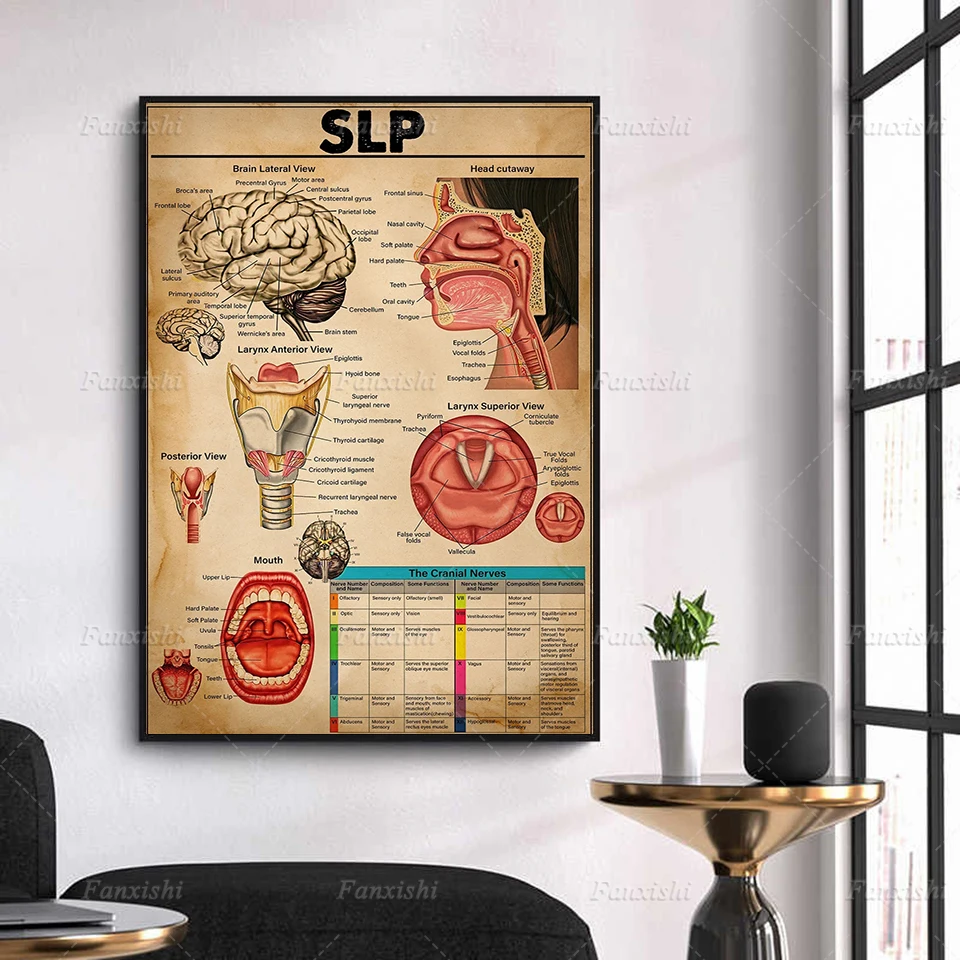 Canvas Poster Prints Speech Language Pathologist Store Brain Lateral View Head Cutaway Modular Pictures Home Wall Decor Painting
Canvas Poster Prints Speech Language Pathologist Store Brain Lateral View Head Cutaway Modular Pictures Home Wall Decor Painting