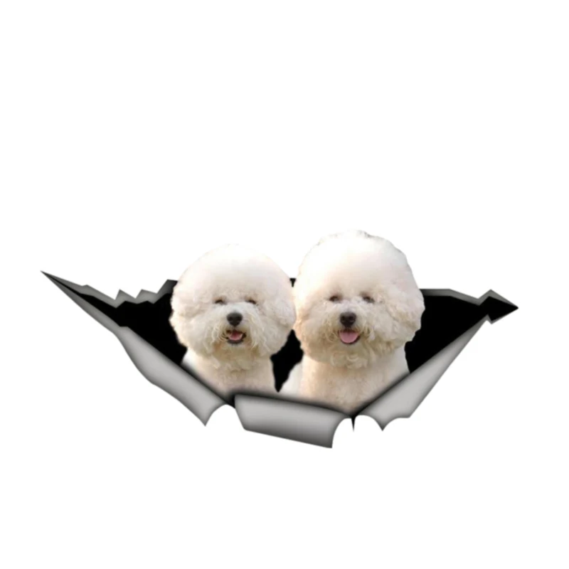 Забавный бишон фризе Автомобильная Наклейка Автомобильные аксессуары виниловая наклейка защита от царапин водонепроницаемый ПВХ 13 см X 6 с... 
Забавный бишон фризе Автомобильная Наклейка Автомобильные аксессуары виниловая наклейка защита от царапин водонепроницаемый ПВХ 13 см X 6 с...