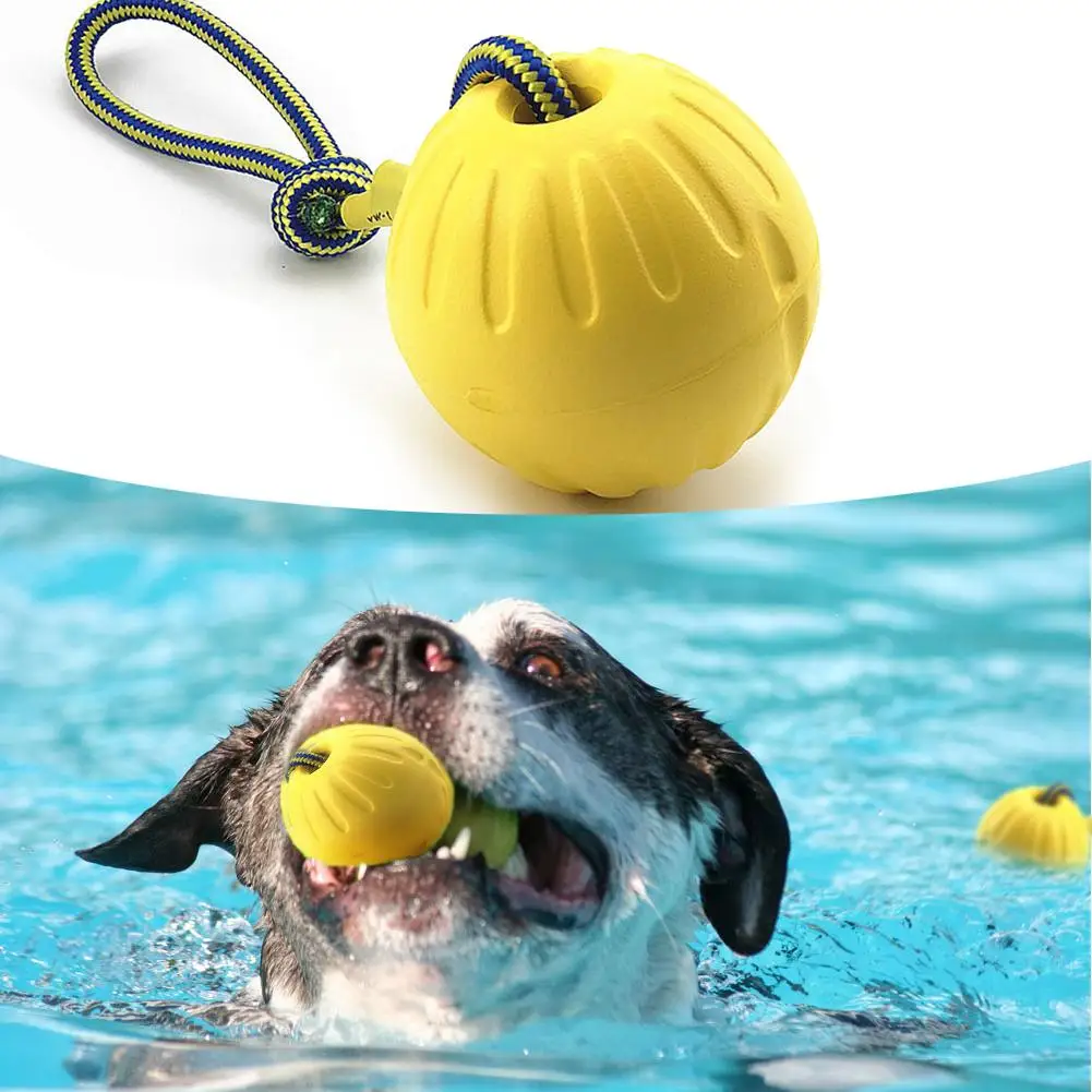 Chew Toys Teeth Indestructible Bite Rubber Puppy Funny Training Ball Chew Toys Play Fetch Solid With Carrier Rope Pet Dog
Chew Toys Teeth Indestructible Bite Rubber Puppy Funny Training Ball Chew Toys Play Fetch Solid With Carrier Rope Pet Dog