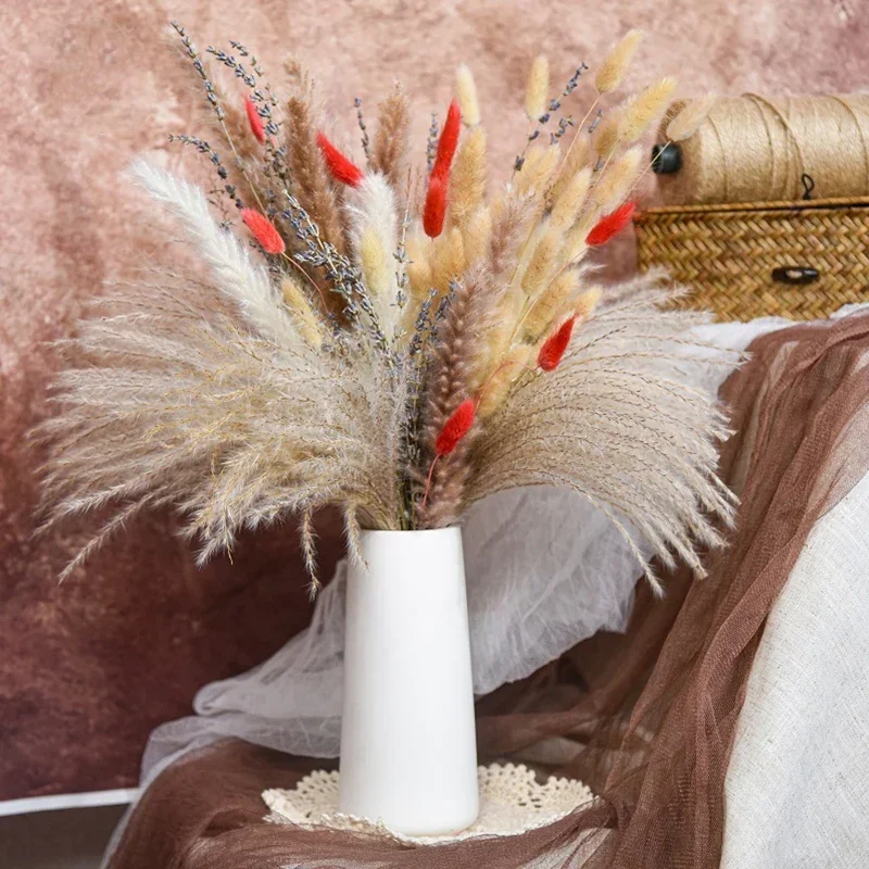 Natural Dried Reeds Small Pampas Grass DIY Wedding Arrangement Supplies Bouquet Photography Props Christmas Home Decoration
Natural Dried Reeds Small Pampas Grass DIY Wedding Arrangement Supplies Bouquet Photography Props Christmas Home Decoration