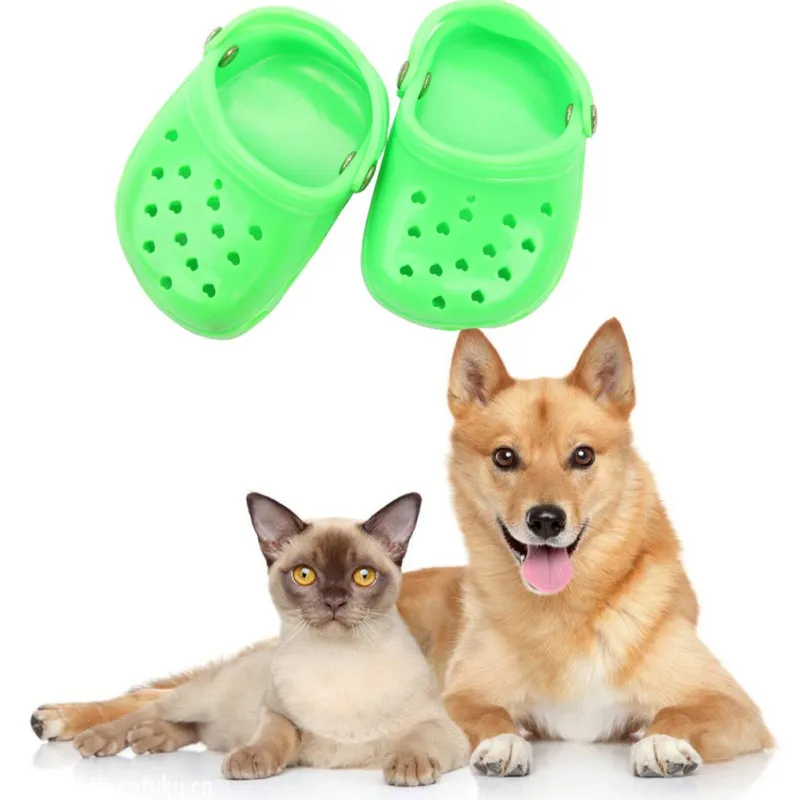 Soft Cat Dog Shoes Accessories Summer Pet Breathable Durable Network Eye Cave Sandals Supplies Pet Items Solid Colors Dropship 
Soft Cat Dog Shoes Accessories Summer Pet Breathable Durable Network Eye Cave Sandals Supplies Pet Items Solid Colors Dropship