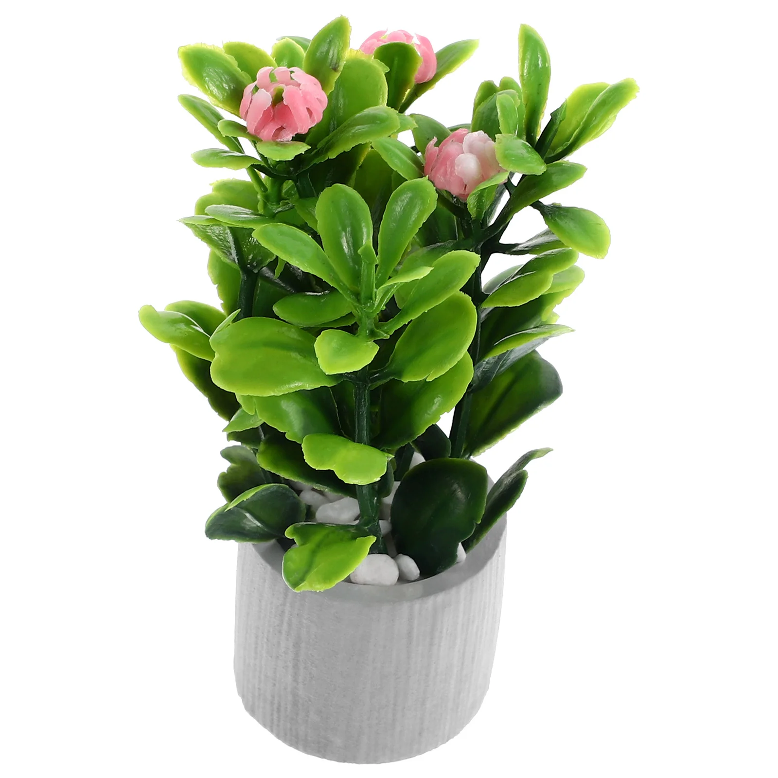 House Plants Miniature Bonsai Plants Mini Potted Plants Model Mini Greenery Ornament
House Plants Miniature Bonsai Plants Mini Potted Plants Model Mini Greenery Ornament