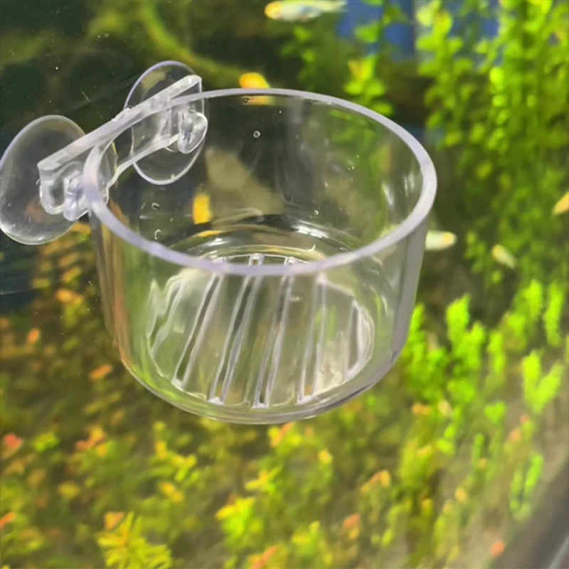 Red Worm Cup Blood Hanging Fish Tank Mini Crystal Acrylic Glass Pot Polka Water Planting Cylinder Cup Feeding Accessories
Red Worm Cup Blood Hanging Fish Tank Mini Crystal Acrylic Glass Pot Polka Water Planting Cylinder Cup Feeding Accessories