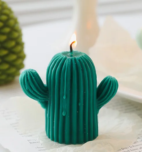 

Scented Candle Fragrance Nature Soy Wax Pure Nature Made In China Whole Season Cactus Colorful Candle