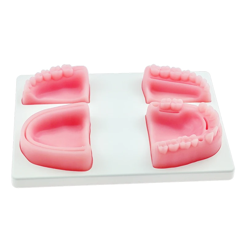4 pcs/ set Oral Suture Training Module Simulation Silicone Gum Suture Model Tool 
4 pcs/ set Oral Suture Training Module Simulation Silicone Gum Suture Model Tool