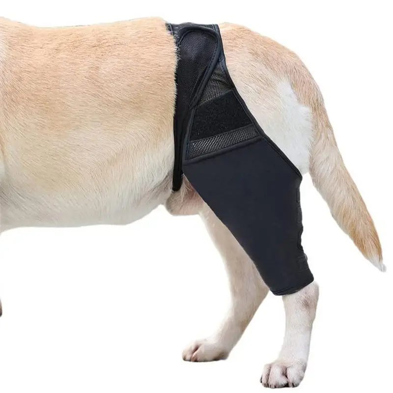 

Pet Knee Pads Dog Support Brace For Right Left Leg Hock Joint Wrap Breathable Injury Recover Legs Wrap Dog Protector Support