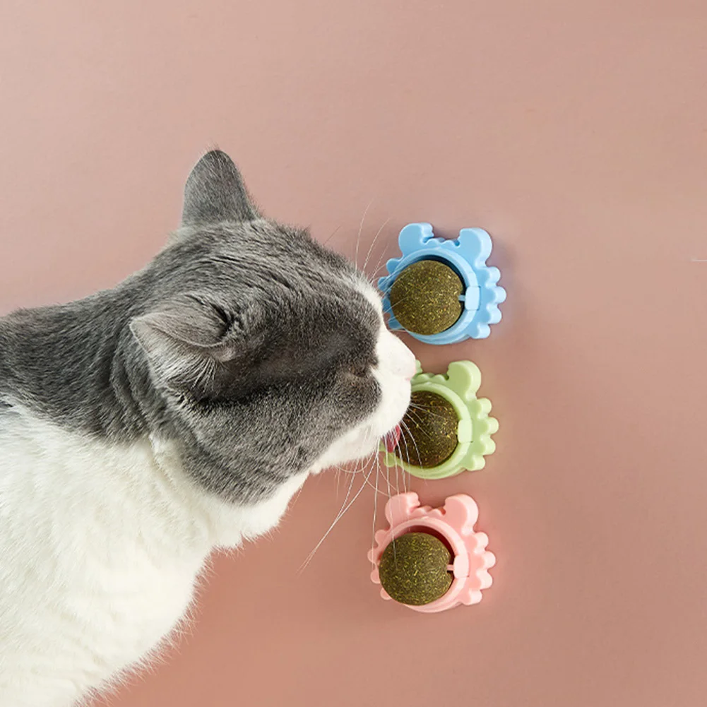 Healthy Cat Catnip Toys Ball Cat Candy Licking Snacks Nutrition Catnip Snack Nutrition Energy Ball Kitten Cat Toy Cat Supplies
Healthy Cat Catnip Toys Ball Cat Candy Licking Snacks Nutrition Catnip Snack Nutrition Energy Ball Kitten Cat Toy Cat Supplies