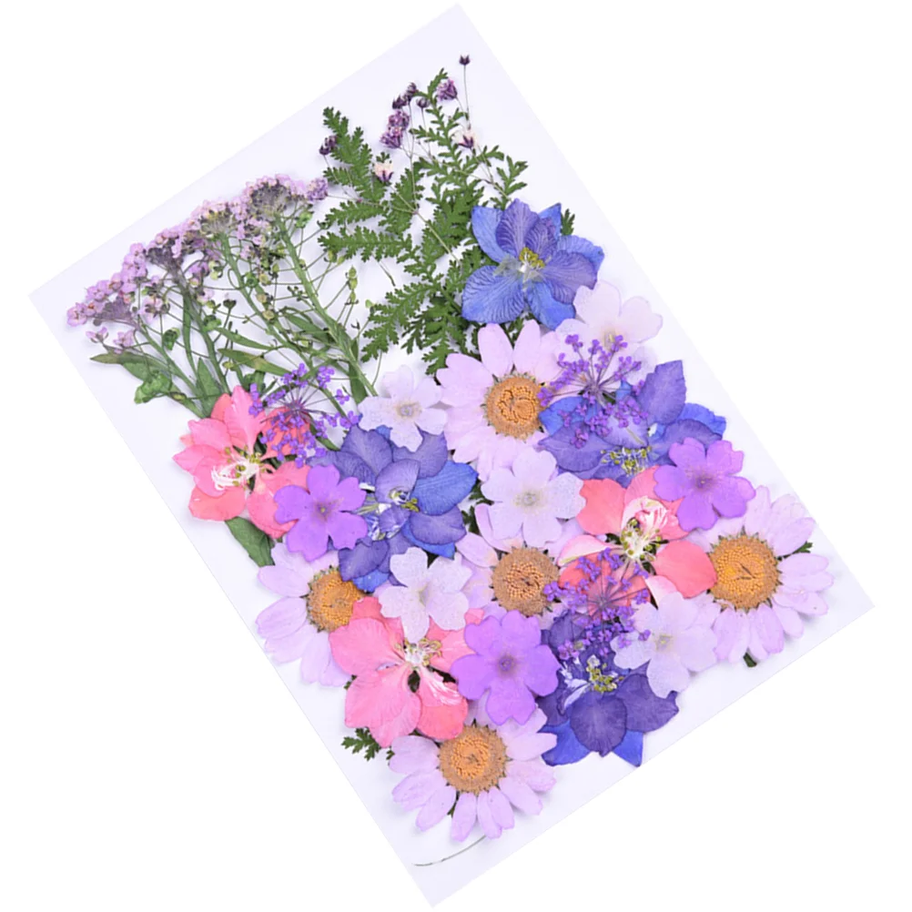 Flowers Flower Driedpressed Artificial Preservednail Decorations Diy Arrangements Dry Natural Sticker 3D Resin Charm Ornaments
Flowers Flower Driedpressed Artificial Preservednail Decorations Diy Arrangements Dry Natural Sticker 3D Resin Charm Ornaments