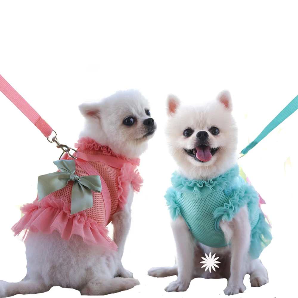 Dog Harness Dress With Leash Set Puppy Princess Dress with Bowknot Spring Summer Autumn Mesh Pet Small Dog Cats Vest Harness
Dog Harness Dress With Leash Set Puppy Princess Dress with Bowknot Spring Summer Autumn Mesh Pet Small Dog Cats Vest Harness