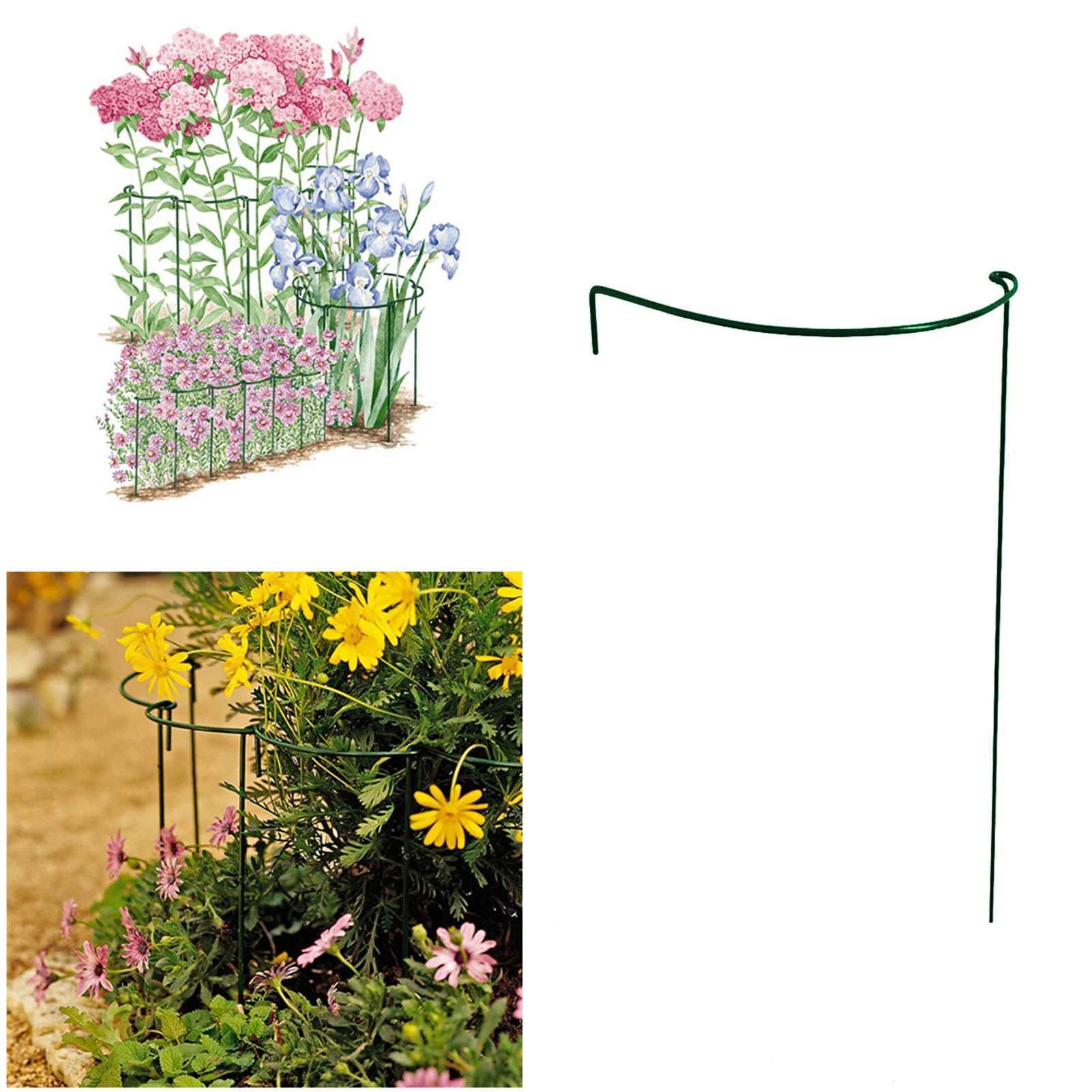 Plant Supports Garden Potted Plant Support Stakes Green Half Round Plant Support Rings Strong Metal Garden Supports For Flower
Plant Supports Garden Potted Plant Support Stakes Green Half Round Plant Support Rings Strong Metal Garden Supports For Flower