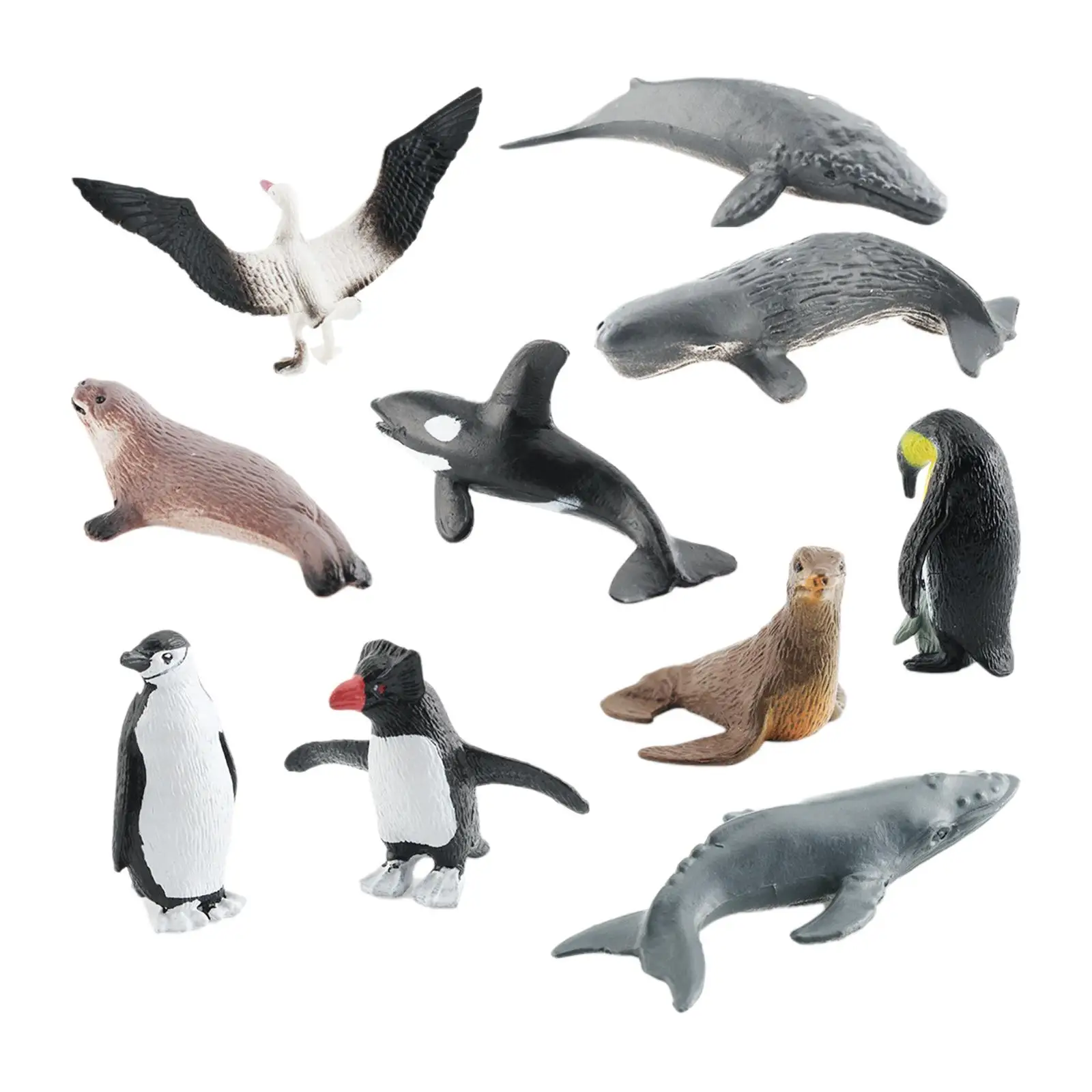 10Pcs Antarctic Marine Animals Learning Prop Miniatures Realistic Animals Model Playset for Desktop Decor Party Favors
10Pcs Antarctic Marine Animals Learning Prop Miniatures Realistic Animals Model Playset for Desktop Decor Party Favors