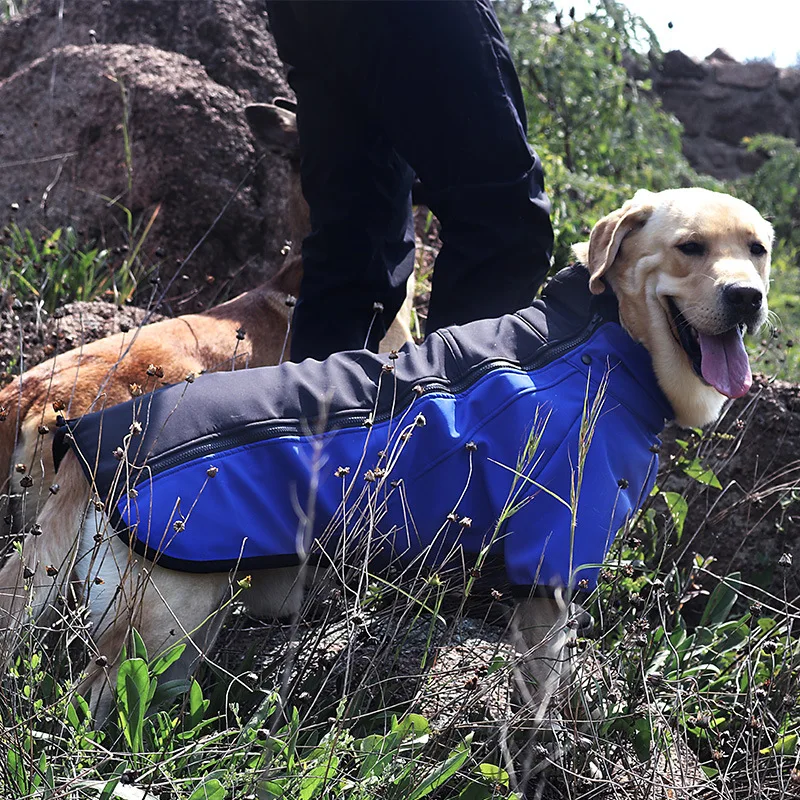 Luxury New Dog Harness Dog Jacket Dog clothes new pet clothes Outdoor two foot assault suit
Luxury New Dog Harness Dog Jacket Dog clothes new pet clothes Outdoor two foot assault suit