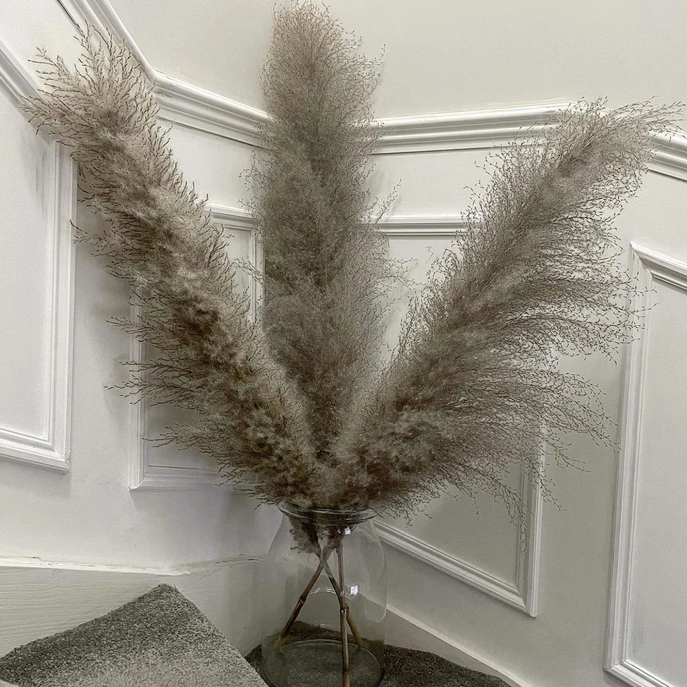 80cm Pampas Grass Large Decorative Dried Flowers Natural Living Room Decoration Fluffy Home Flowers Decor Bouquet Wedding Party
80cm Pampas Grass Large Decorative Dried Flowers Natural Living Room Decoration Fluffy Home Flowers Decor Bouquet Wedding Party