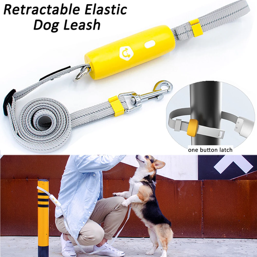 Retract Elastic Dog Leash Anti-Explosion Reflective Stripe Metal Clasp Comfortable Handle Easy Grip&Lock Hands Free Pet Product
Retract Elastic Dog Leash Anti-Explosion Reflective Stripe Metal Clasp Comfortable Handle Easy Grip&Lock Hands Free Pet Product