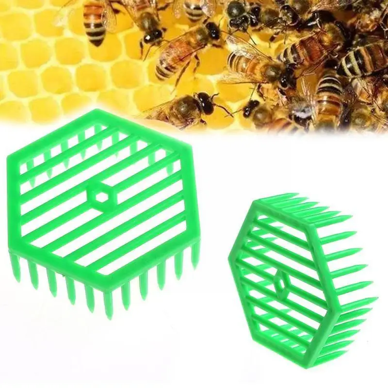 Beekeeping Plastic Queen Bee Marker Cage Clip Bee Catcher Tools Equipment Beekeeping Beekeeper I9R2 
Beekeeping Plastic Queen Bee Marker Cage Clip Bee Catcher Tools Equipment Beekeeping Beekeeper I9R2