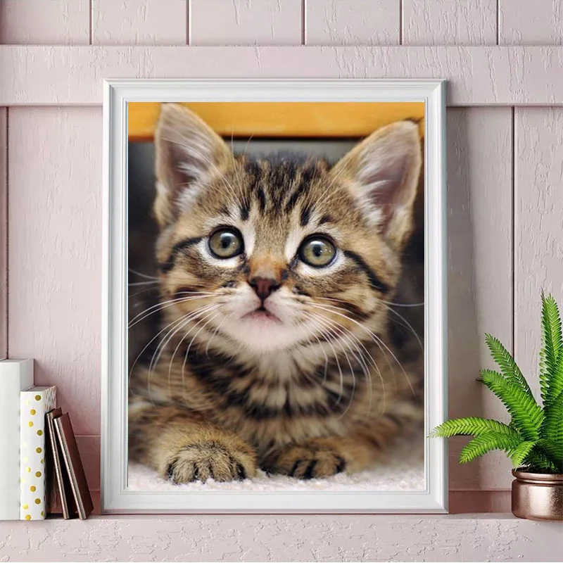 DIY Diamond Painting Full 5D Cute Cat Cross Stitch Square Round Embroidery Mosaic Animal Picture Of Rhinestone Home Decoration
DIY Diamond Painting Full 5D Cute Cat Cross Stitch Square Round Embroidery Mosaic Animal Picture Of Rhinestone Home Decoration