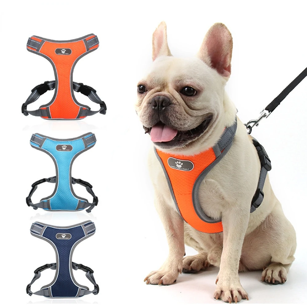 Nylon Pet Dog and Cat Adjustable Harness with Leash Reflective and Breathable Safety Large Dog Harness Vest Walking Harnesses
Nylon Pet Dog and Cat Adjustable Harness with Leash Reflective and Breathable Safety Large Dog Harness Vest Walking Harnesses