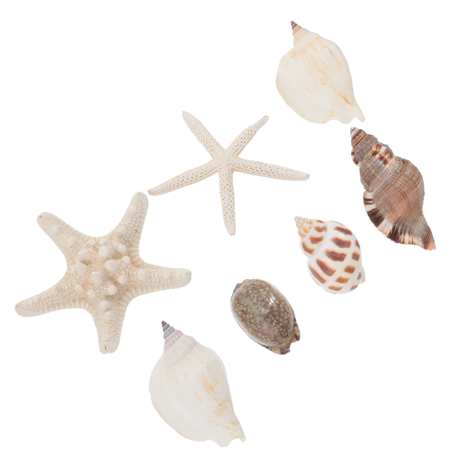 Marine Fridge Stickers, Magnet Decals Fridge Magnets Conch Fridge Magnets Sticker for Fridge Craft Home 7PCS, Random Style
Marine Fridge Stickers, Magnet Decals Fridge Magnets Conch Fridge Magnets Sticker for Fridge Craft Home 7PCS, Random Style