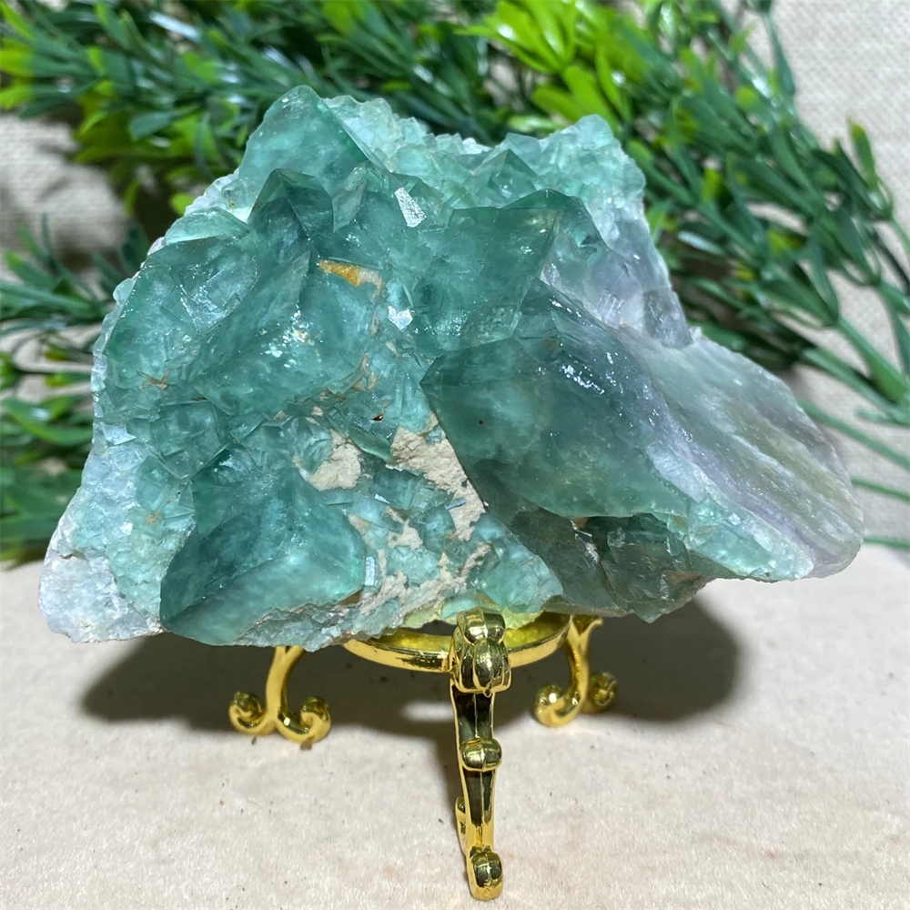 Natural Specimen Raw Quartz Crystal Cluster Healing Stones Wicce Spiritual Reiki Home Decoration Crafts Green Fluorite+Stand
Natural Specimen Raw Quartz Crystal Cluster Healing Stones Wicce Spiritual Reiki Home Decoration Crafts Green Fluorite+Stand