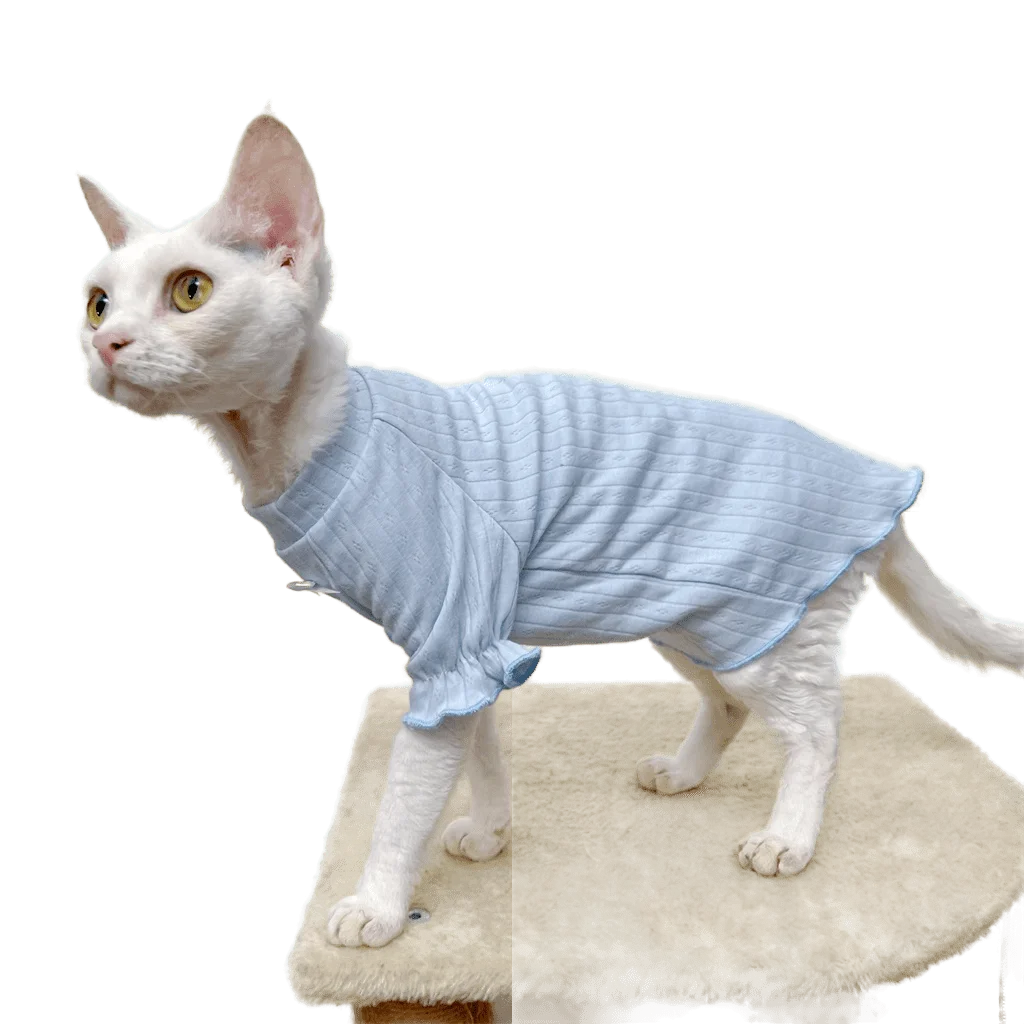 

Sphinx Hairless Cat Clothes for Devon Rex Cotton Strechy Bottoming Shirt Bow Lace Thin Breathable Summer Sphynx Cat Costume