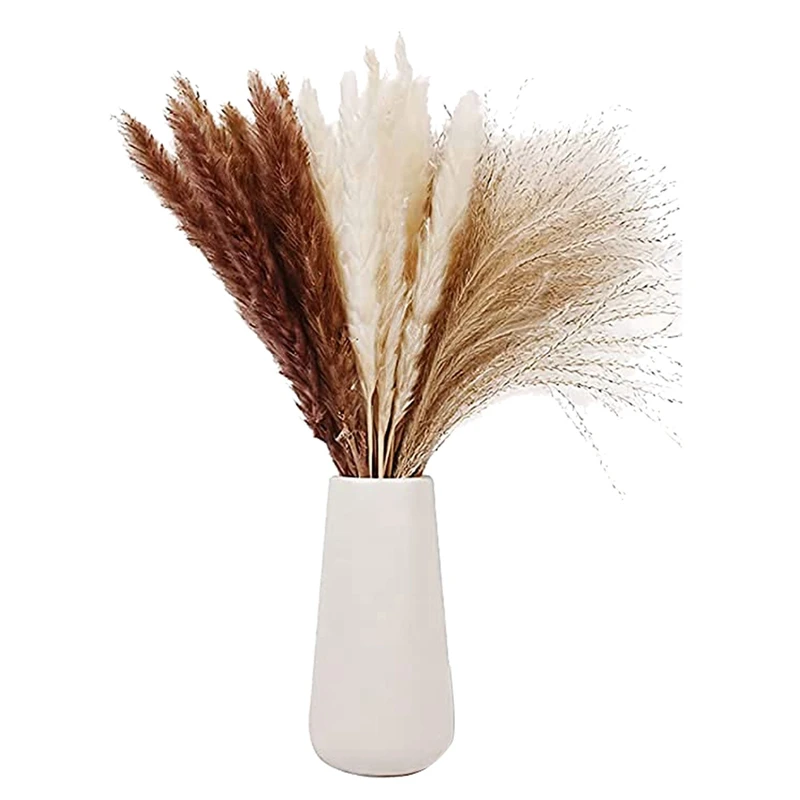 Natural Dried Pampas Grass,Pampas,Reed Grass,Fluffy Rabbit Tails,Wheat Wedding Home Boho Decor Gift Flower Arrangement
Natural Dried Pampas Grass,Pampas,Reed Grass,Fluffy Rabbit Tails,Wheat Wedding Home Boho Decor Gift Flower Arrangement