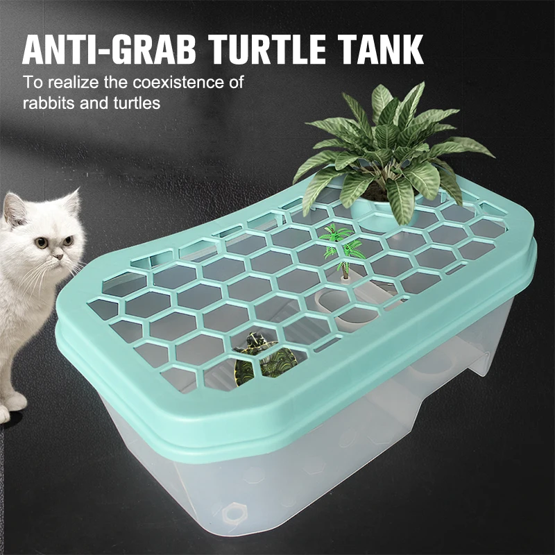 Turtle Tortoise Habitat Reptile Vivarium Box with Basking Ramp Aquarium Tools Small Open Turtle Jar
Turtle Tortoise Habitat Reptile Vivarium Box with Basking Ramp Aquarium Tools Small Open Turtle Jar