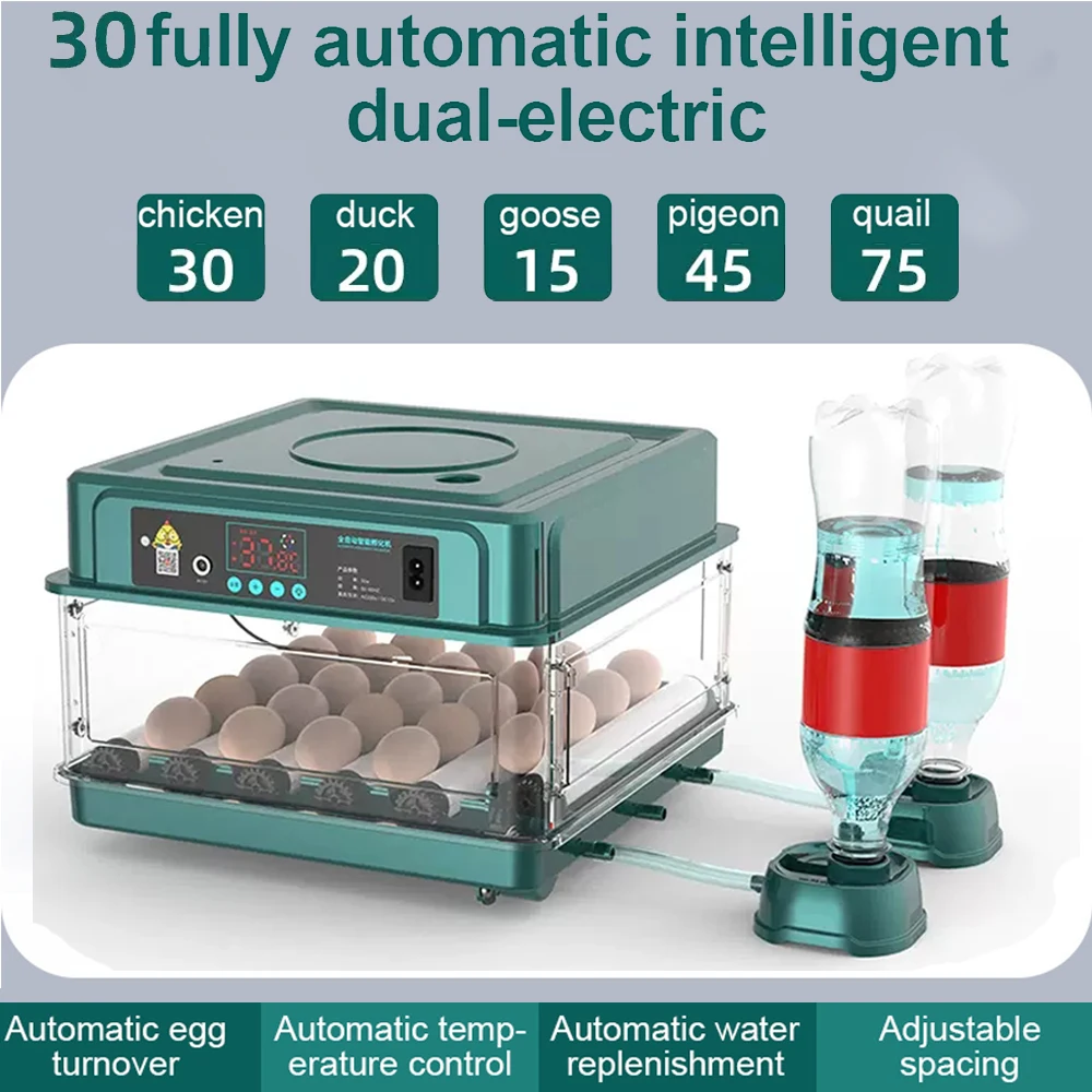 30 Eggs Incubator Fully Automatic Turning Hatching Brooder Farm Bird Quail Chicken Poultry Farm Hatcher Turner Incubation Tool
30 Eggs Incubator Fully Automatic Turning Hatching Brooder Farm Bird Quail Chicken Poultry Farm Hatcher Turner Incubation Tool