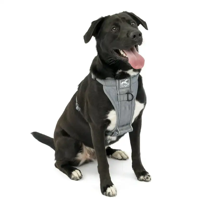 

Smart Harness - QR, Grey, L Grooming dog accessories Cat bandana Dogs accessories Kitten collar Dog bows bulk Kitten accessories