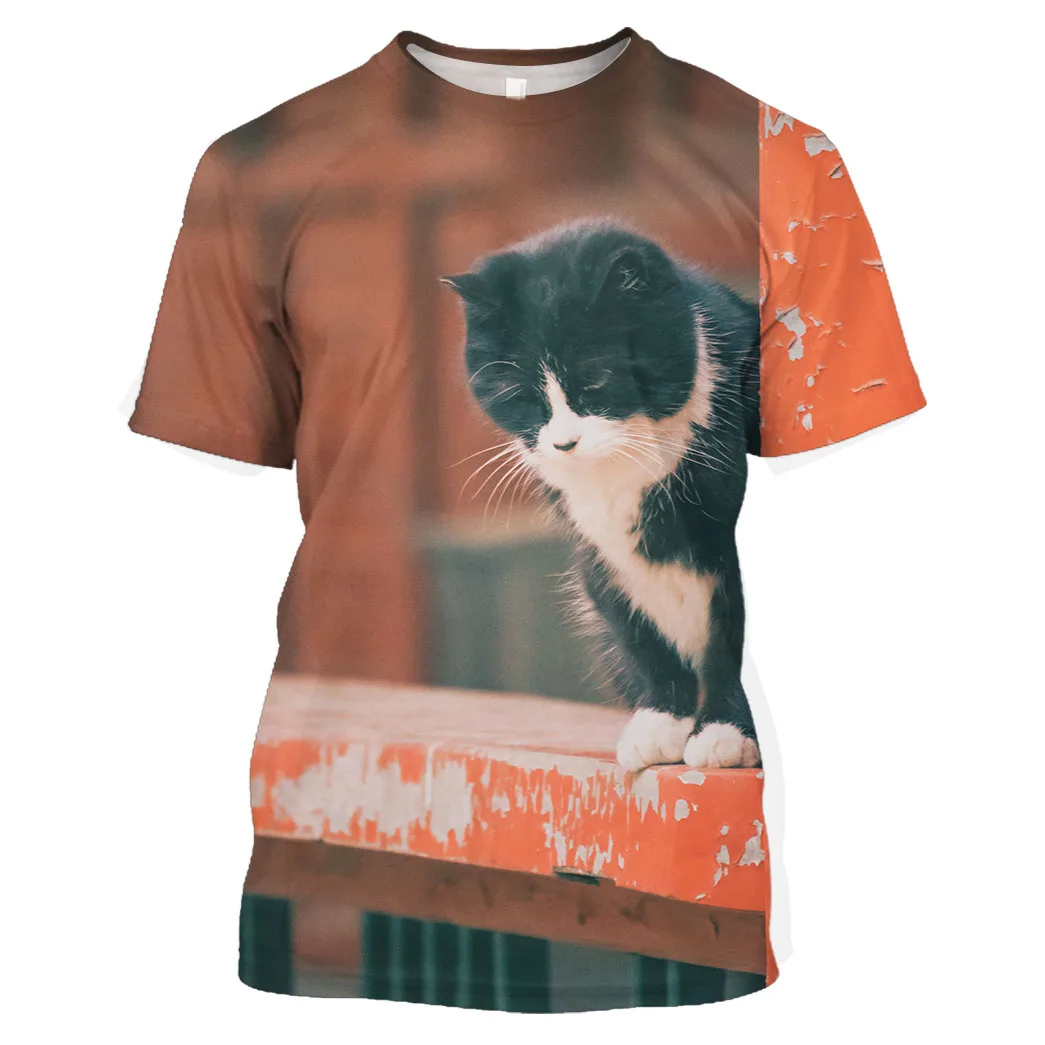 Jumeast Men 3D Graphic T Shirt Oversized Printed T Shirts For Men Clothing Loose Breathable Cute Pet Black Cat Streetwear Tops
Jumeast Men 3D Graphic T Shirt Oversized Printed T Shirts For Men Clothing Loose Breathable Cute Pet Black Cat Streetwear Tops