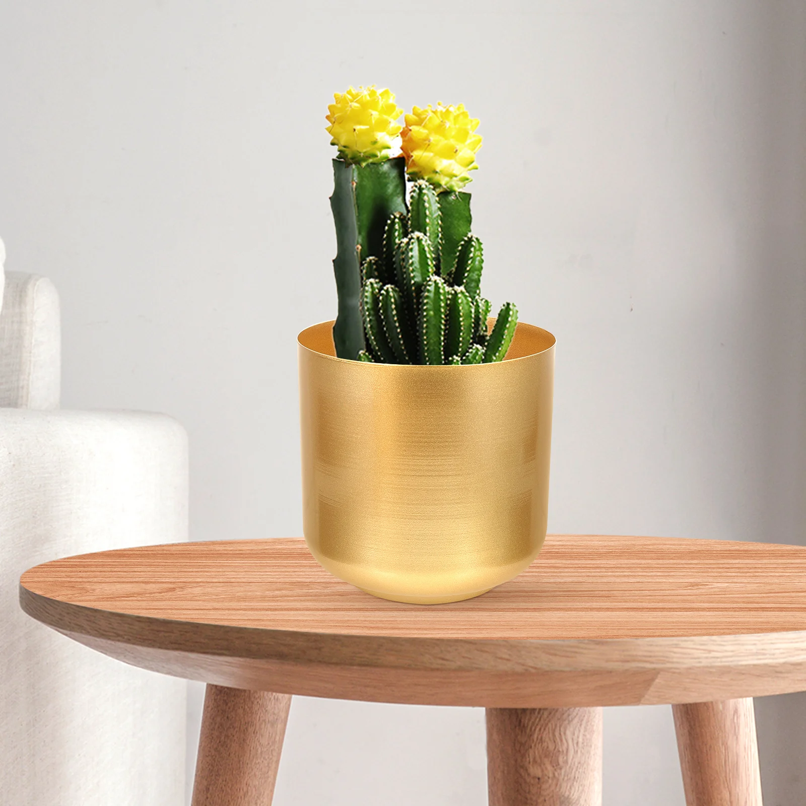 Pot Planter Metal Flower Pots Iron Vase Planters Succulent Bucket Rustic Decorative Container Indoor Gold Bonsai Holder Outdoor
Pot Planter Metal Flower Pots Iron Vase Planters Succulent Bucket Rustic Decorative Container Indoor Gold Bonsai Holder Outdoor
