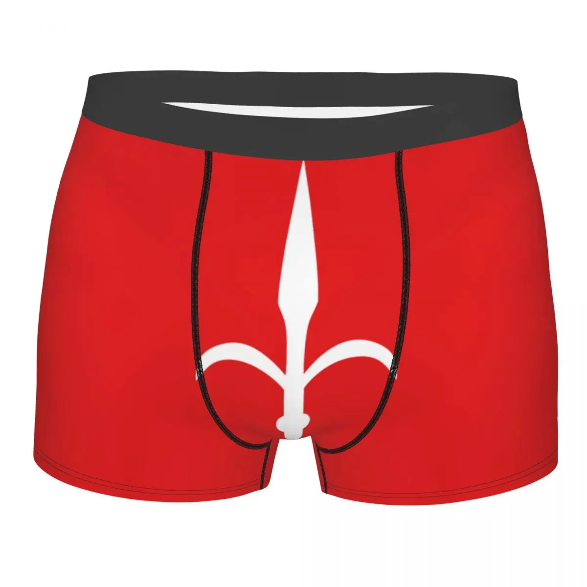 Men's Underwear Underpants Free Territory Trieste Flag Men Boxer Shorts Elastic Male Panties
Men's Underwear Underpants Free Territory Trieste Flag Men Boxer Shorts Elastic Male Panties