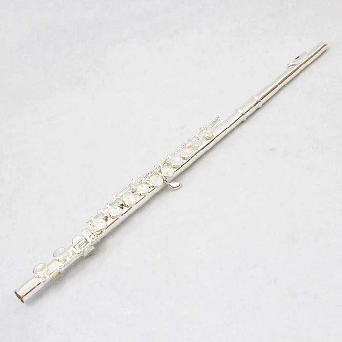 Cupronickel Professional Music 16 Holes For Sale Silver Chinese Instrument Flute
Cupronickel Professional Music 16 Holes For Sale Silver Chinese Instrument Flute