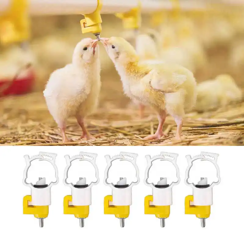 20 шт., автоматические шаровые соски для птицеводства
20 шт., автоматические шаровые соски для птицеводства