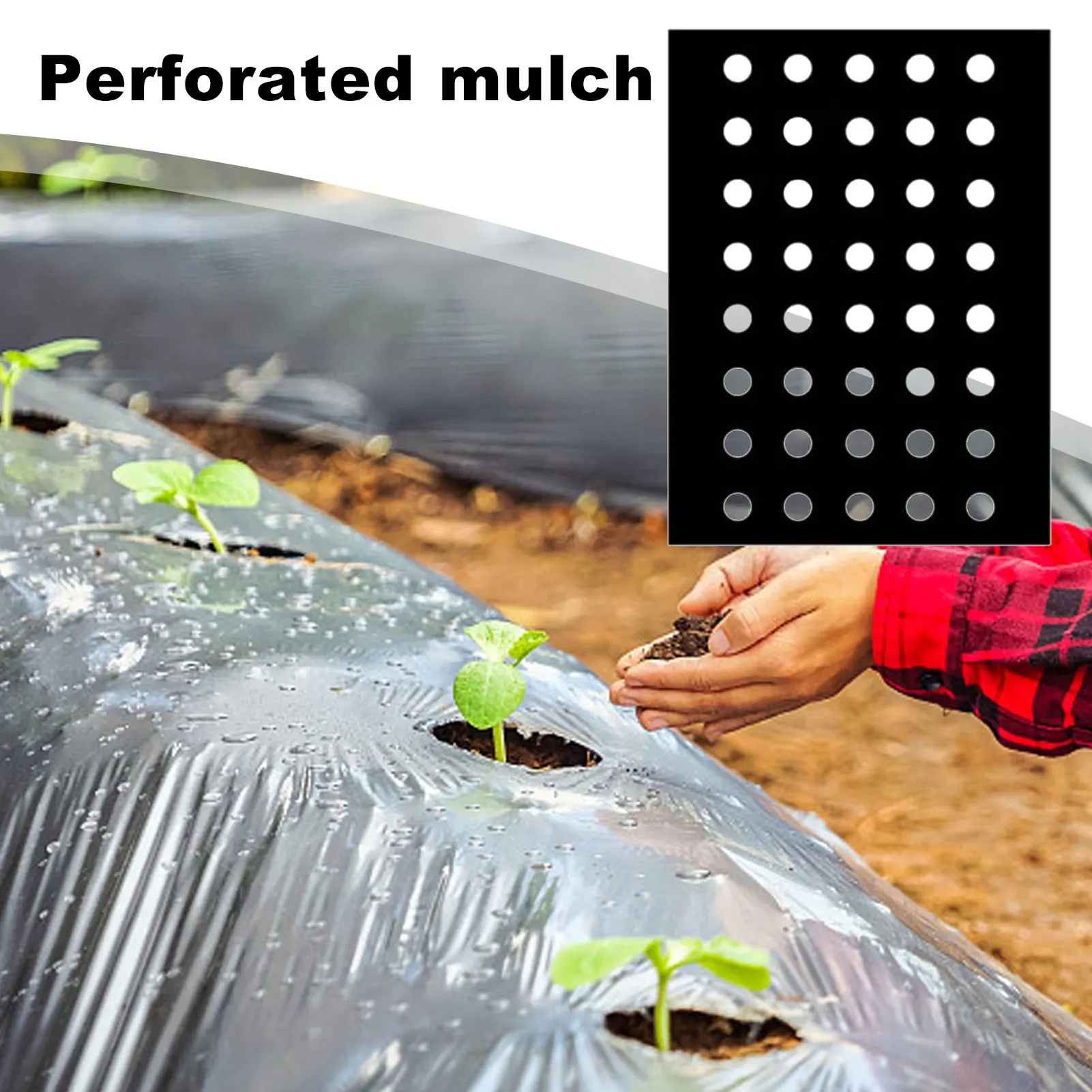Black Mulch 5 Holes Black Film Mulch For Growing Garden Vegetable Plants 5 Holes Black Mulch Films For Garden Vegetable Plants
Black Mulch 5 Holes Black Film Mulch For Growing Garden Vegetable Plants 5 Holes Black Mulch Films For Garden Vegetable Plants