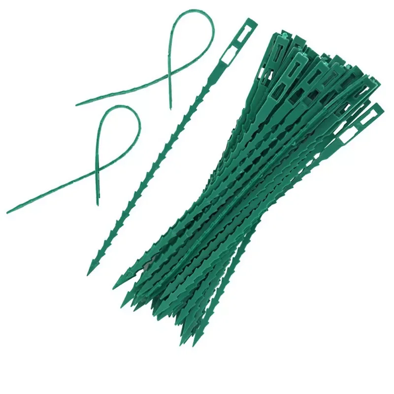 Tree Ties Adjustable Plant Ties Garden Ties Flexible Plant Cable Ties for Supporting Rose Shrub Plants Tree Strapping 50/100pcs
Tree Ties Adjustable Plant Ties Garden Ties Flexible Plant Cable Ties for Supporting Rose Shrub Plants Tree Strapping 50/100pcs