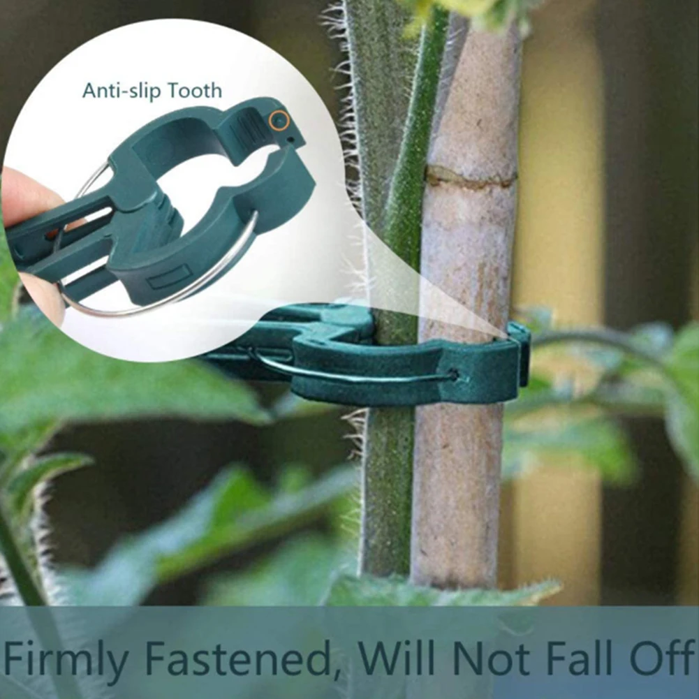 10 Pcs Tree Branches Potted Plants And Flowers Garden Fixed Clips Reusable Vines Grape Support Fastener Vegetables Buckle
10 Pcs Tree Branches Potted Plants And Flowers Garden Fixed Clips Reusable Vines Grape Support Fastener Vegetables Buckle