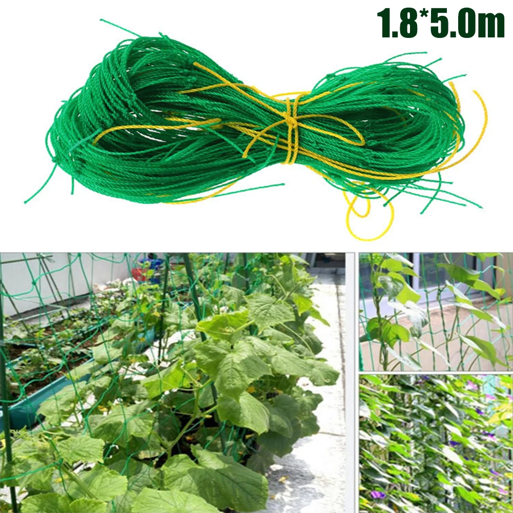 Garden Plants Climbing Net Plastic & Nylon Net Morning Glory Flower Vine Netting Support Net Grow Net Holder Trellis Netting
Garden Plants Climbing Net Plastic & Nylon Net Morning Glory Flower Vine Netting Support Net Grow Net Holder Trellis Netting