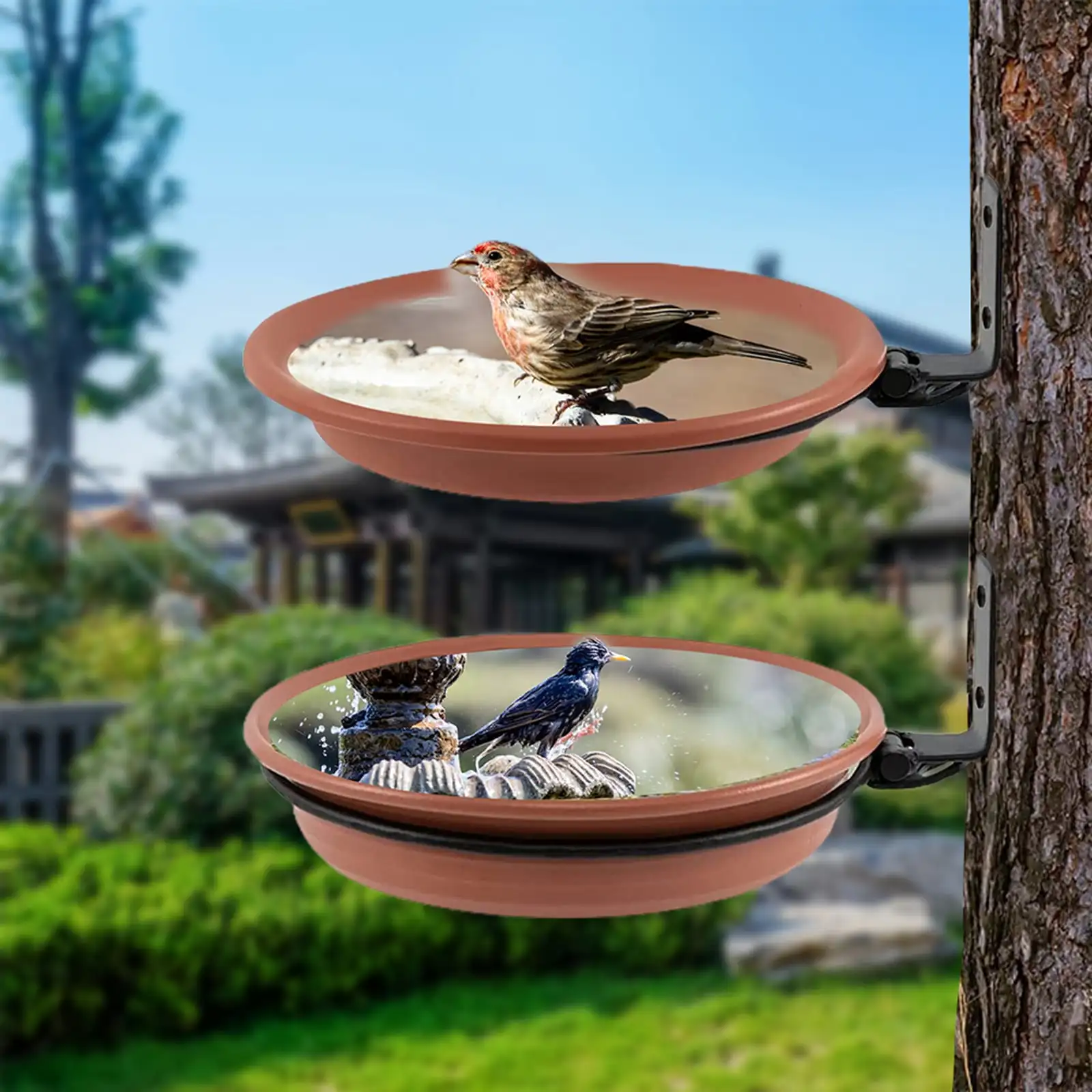 2pcs Hummingbird Drinker Feeding Tray Feeding And Bathing Tray Set Garden Outdoor Hanging Bird Feeder Garden Accessories
2pcs Hummingbird Drinker Feeding Tray Feeding And Bathing Tray Set Garden Outdoor Hanging Bird Feeder Garden Accessories