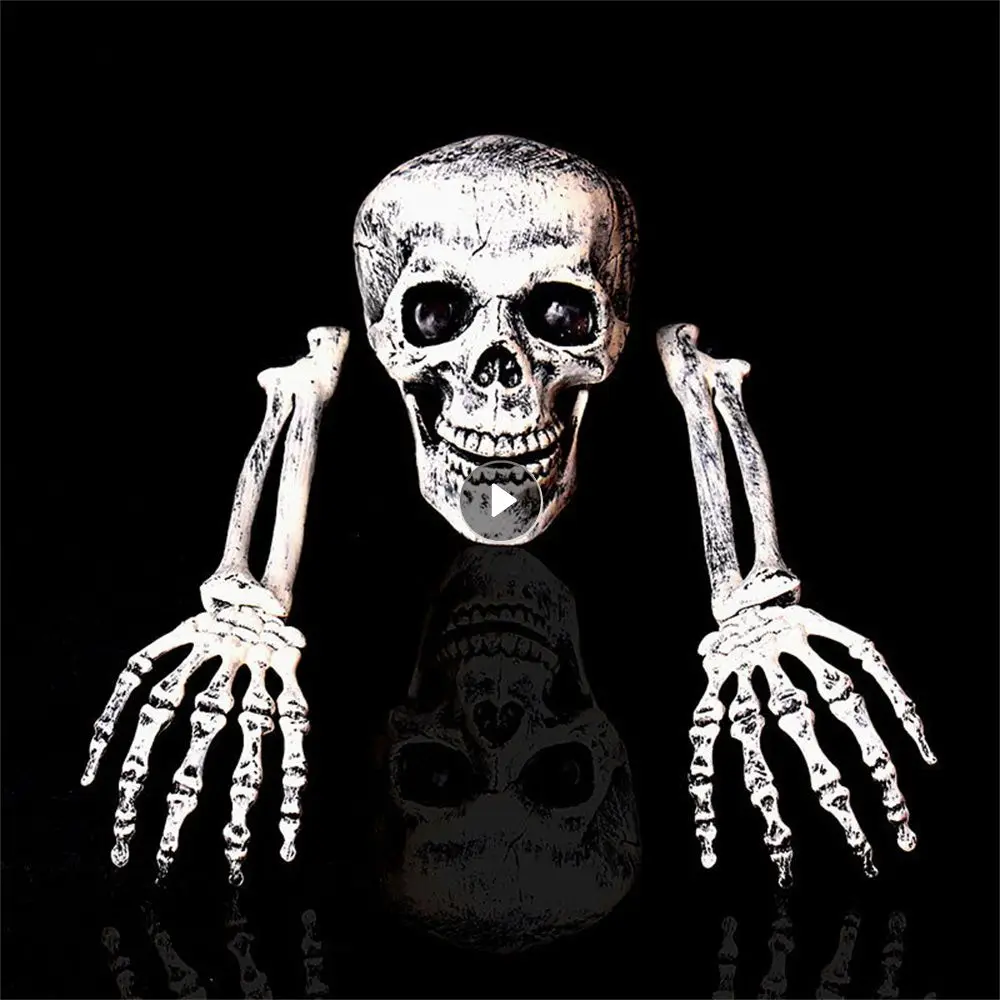 

Unique Halloween Skull Decoration Create A Weird Atmosphere Pp Material Halloween Decoration Simulated Skeleton Durable Horror
