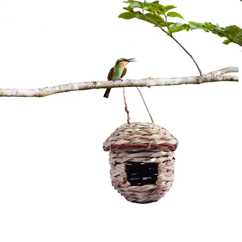 Pet Supplies Hand-Woven Bird Nest Ecological Bird Cage Decoration Garden Natural Landscape Bird Nests
Pet Supplies Hand-Woven Bird Nest Ecological Bird Cage Decoration Garden Natural Landscape Bird Nests