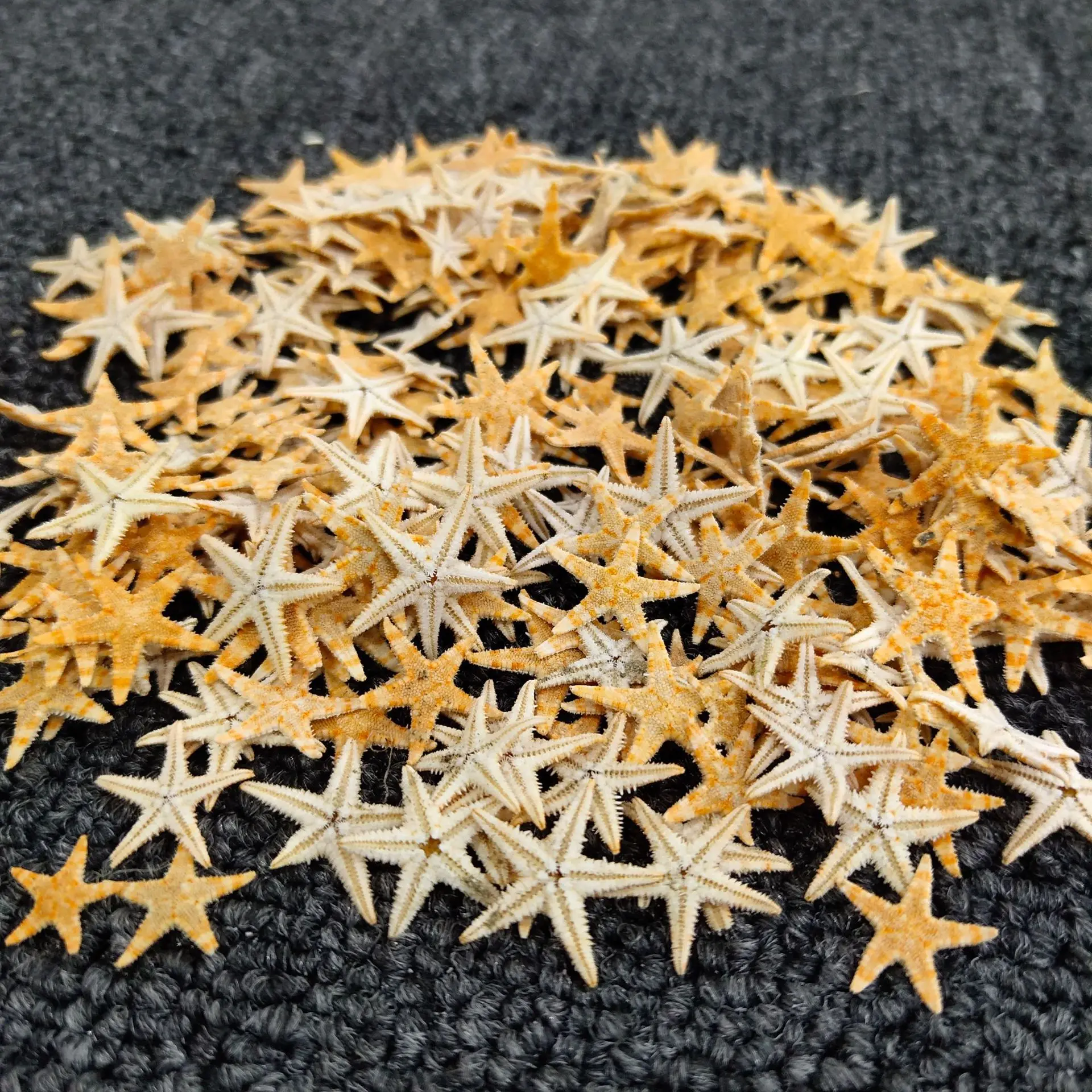 100 шт. ракушки в виде морской звезды 1-2 см |