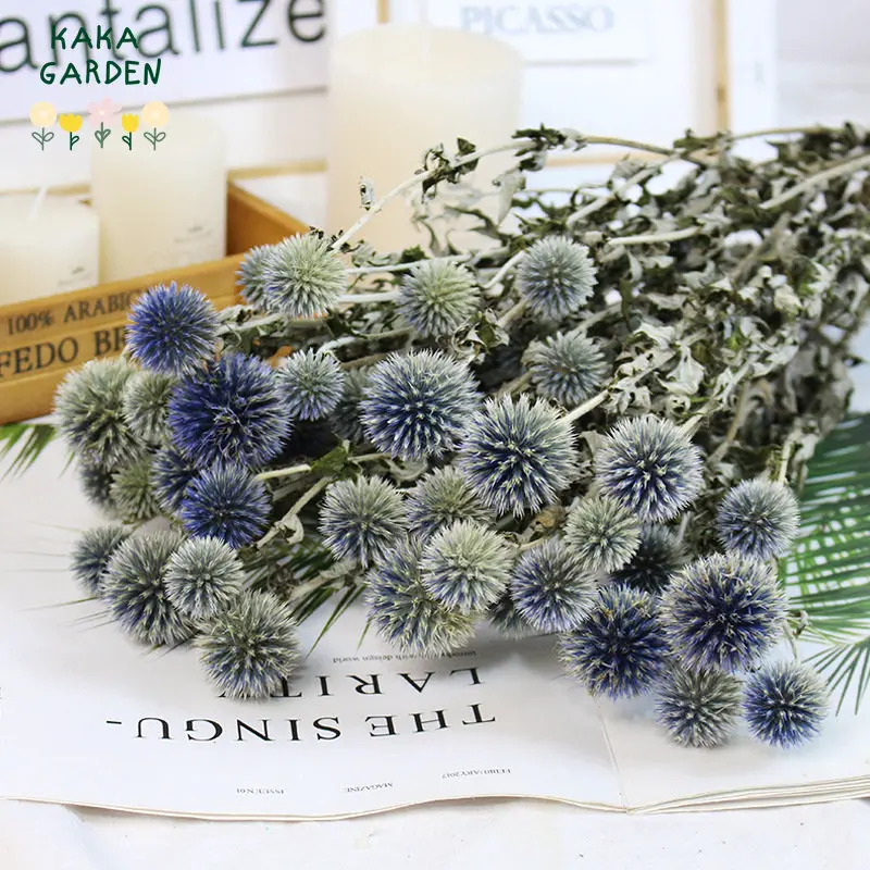 100g Dried Flowers Blue Fruit Echinops Sphaerocephalus Boho Home Decor Accessories Colorful Rich Head Wedding Decoration Bouquet
100g Dried Flowers Blue Fruit Echinops Sphaerocephalus Boho Home Decor Accessories Colorful Rich Head Wedding Decoration Bouquet
