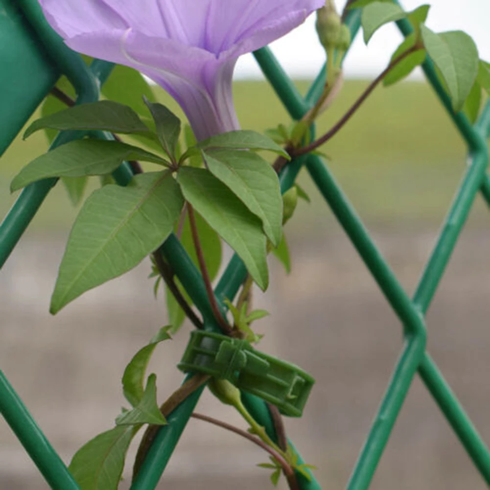 100x Plant Climbing Wall Clips Vine Buckle Hook Ties Trellis Stake Garden Plant Support Clips Veggie Tomato Greenhouse
100x Plant Climbing Wall Clips Vine Buckle Hook Ties Trellis Stake Garden Plant Support Clips Veggie Tomato Greenhouse