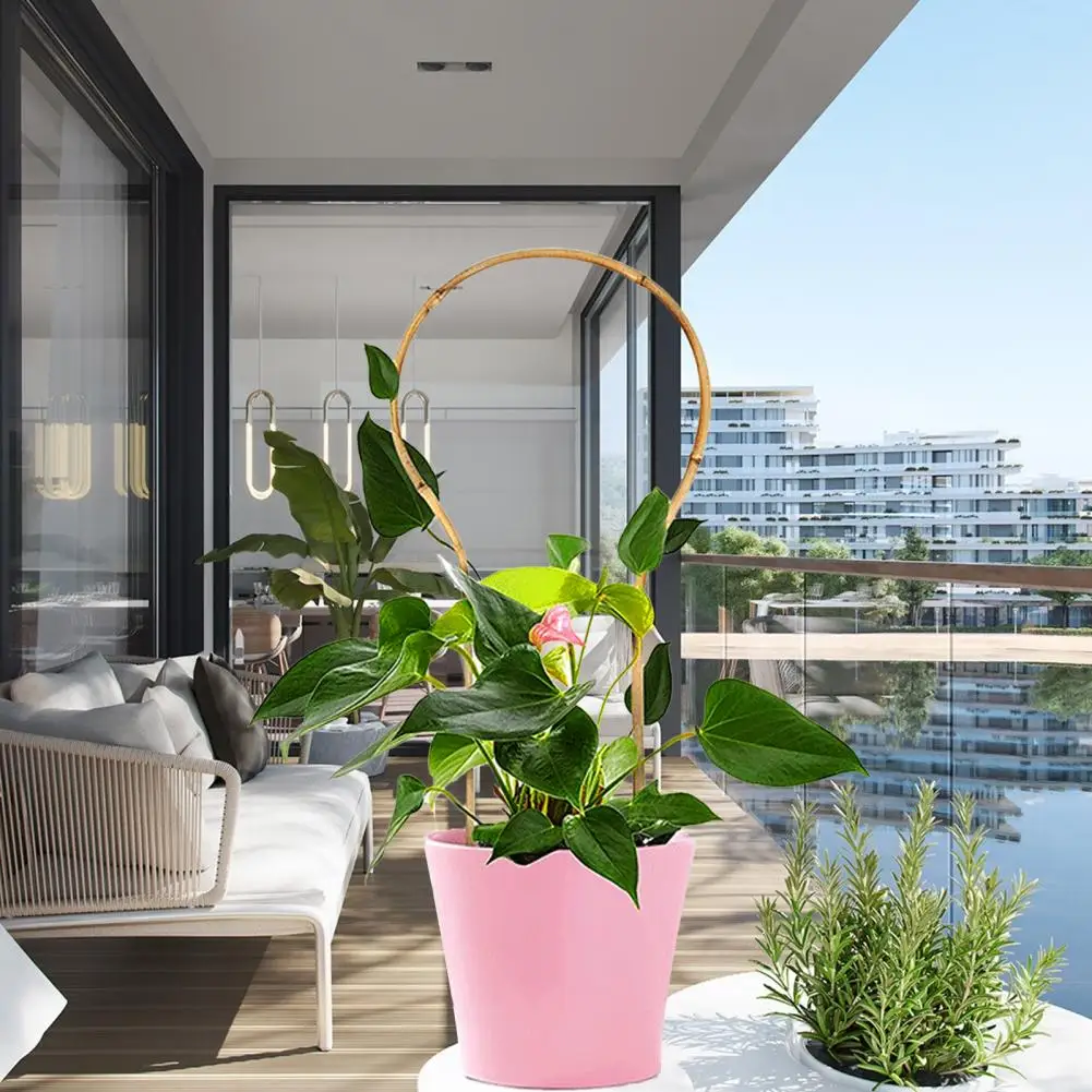 Flower Pot Stand 10Pcs/Set Practical Handcraft 3 Styles House Plants Vine Ivy Climbing Stake for Home
Flower Pot Stand 10Pcs/Set Practical Handcraft 3 Styles House Plants Vine Ivy Climbing Stake for Home