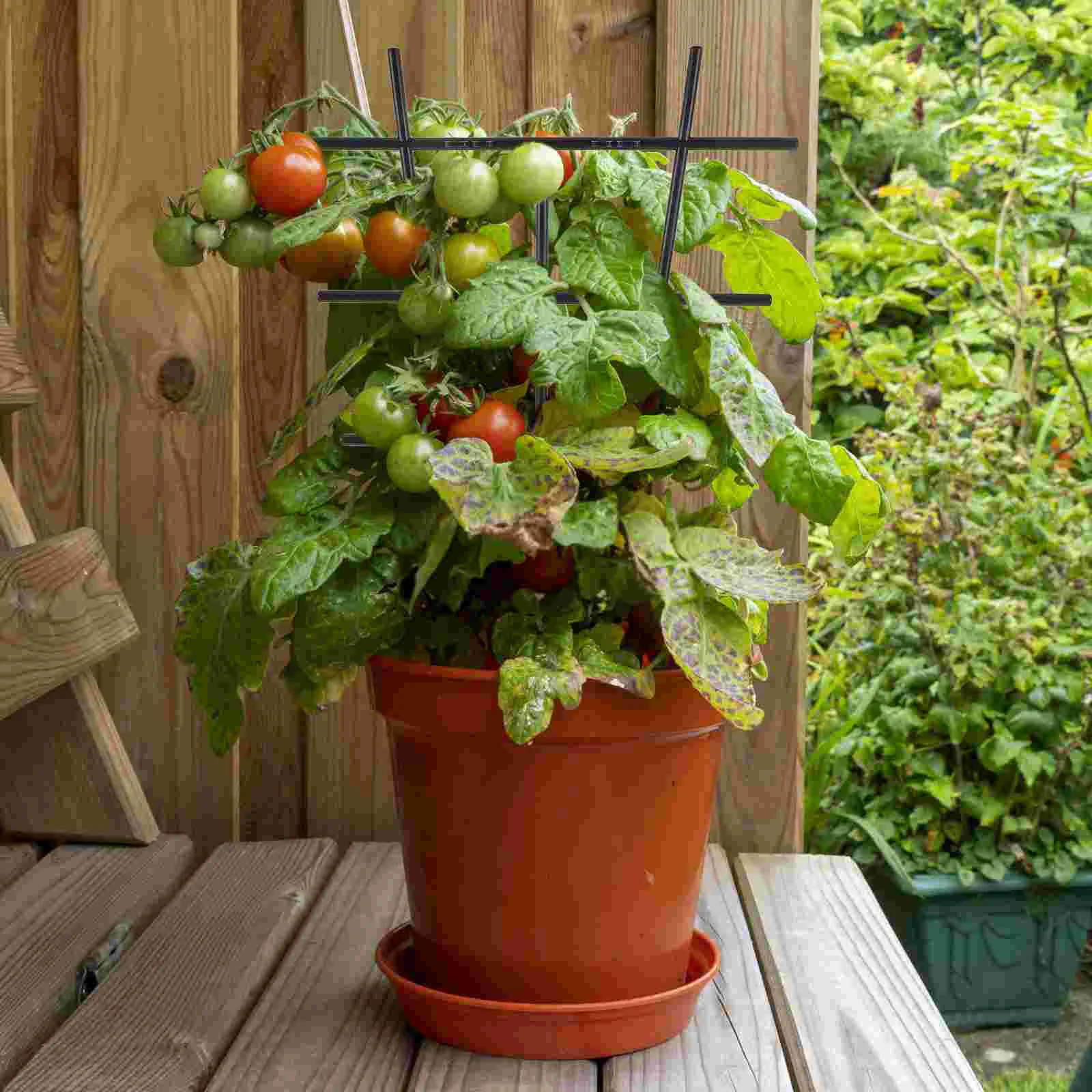 Plastic Trellis Climbing Plants Holder Stand Garden Decor Decorative Vine Support Stake Indoor
Plastic Trellis Climbing Plants Holder Stand Garden Decor Decorative Vine Support Stake Indoor