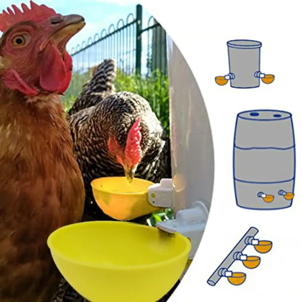 Automatic Water Fountain Leak-proof Poultry Drinking Bowl Farm Feeding Supplies For Chicken Duck Goose Pigeon
Automatic Water Fountain Leak-proof Poultry Drinking Bowl Farm Feeding Supplies For Chicken Duck Goose Pigeon