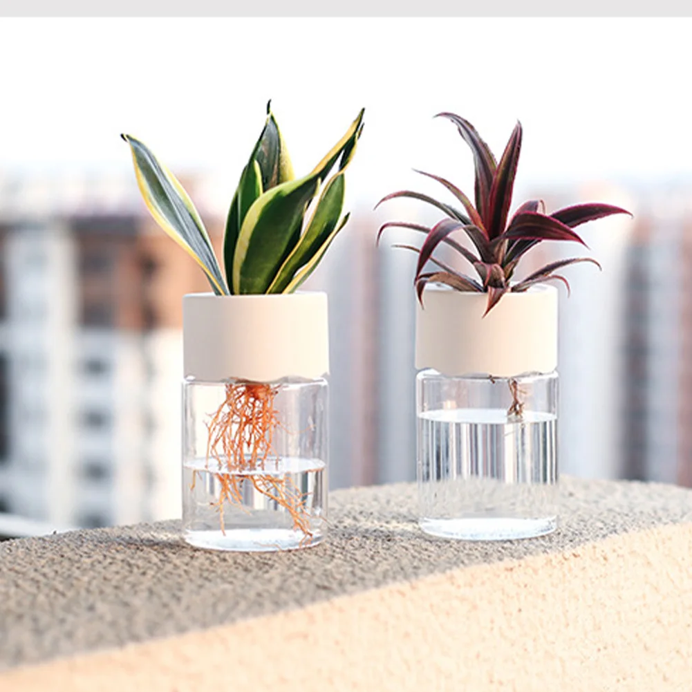 1 Pcs Transparent Hydroponic Flower Pot Water Planting Vase Container Plastic Tabletop Plants Bonsai Home Pots
1 Pcs Transparent Hydroponic Flower Pot Water Planting Vase Container Plastic Tabletop Plants Bonsai Home Pots