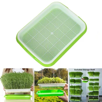Seed Sprouter Tray Double Layer Soilless Bean Culture Hydroponic Nursery Plate Sprouting Pot Planter Garden Home Plastic To